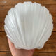 Applique verre coquille