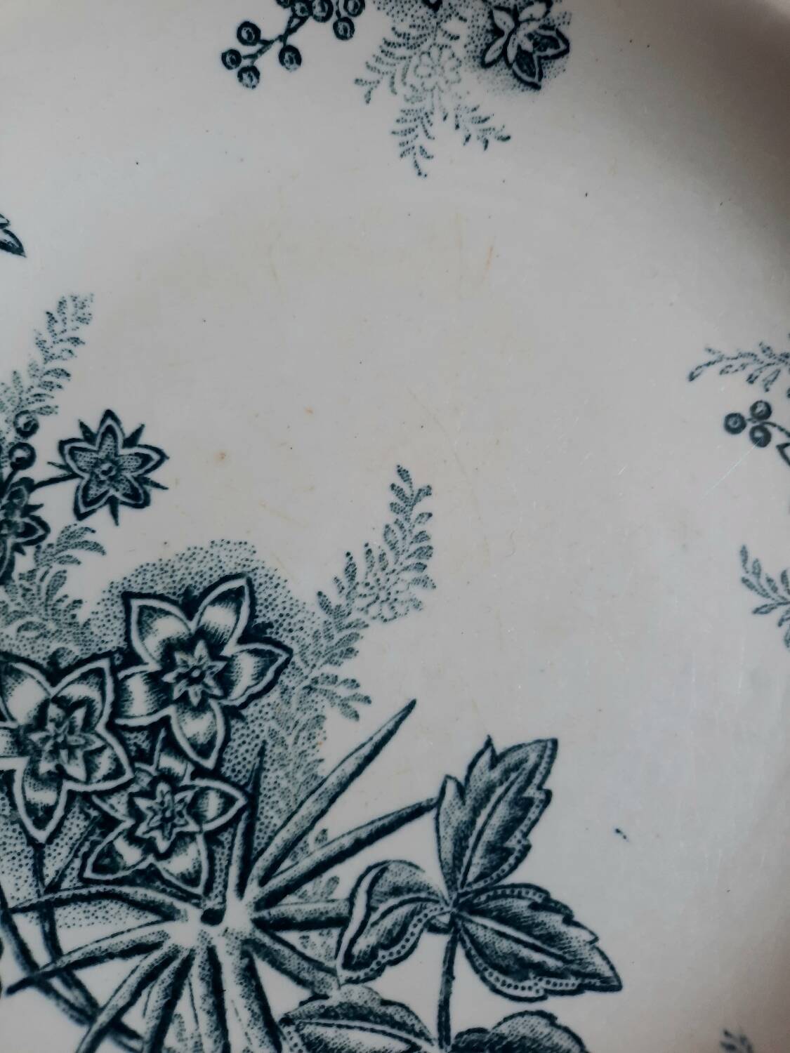 Old mismatched hollow plates in iron earth earthenware accompanied by a soup tureen