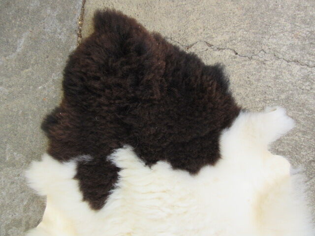 Sheepskin