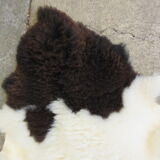 Sheepskin