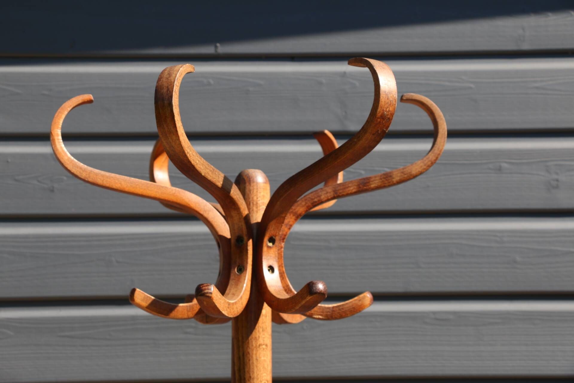 Dark BAUMANN parrot coat rack (A1)