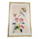 Japanese print on paper drawing of bird and flowers