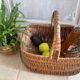 Vintage wicker basket