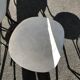 Set of 5 chairs 50