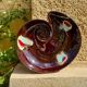 Large ceramic shell dish