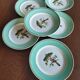 6 assiettes plates Fenal Badonviller "Oiseaux" vintage années 1950