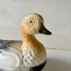 Terrine canard vintage