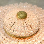 Mid-Century Czech Crystal and Brass Wall Lamp in Brass, 50s, set of 2