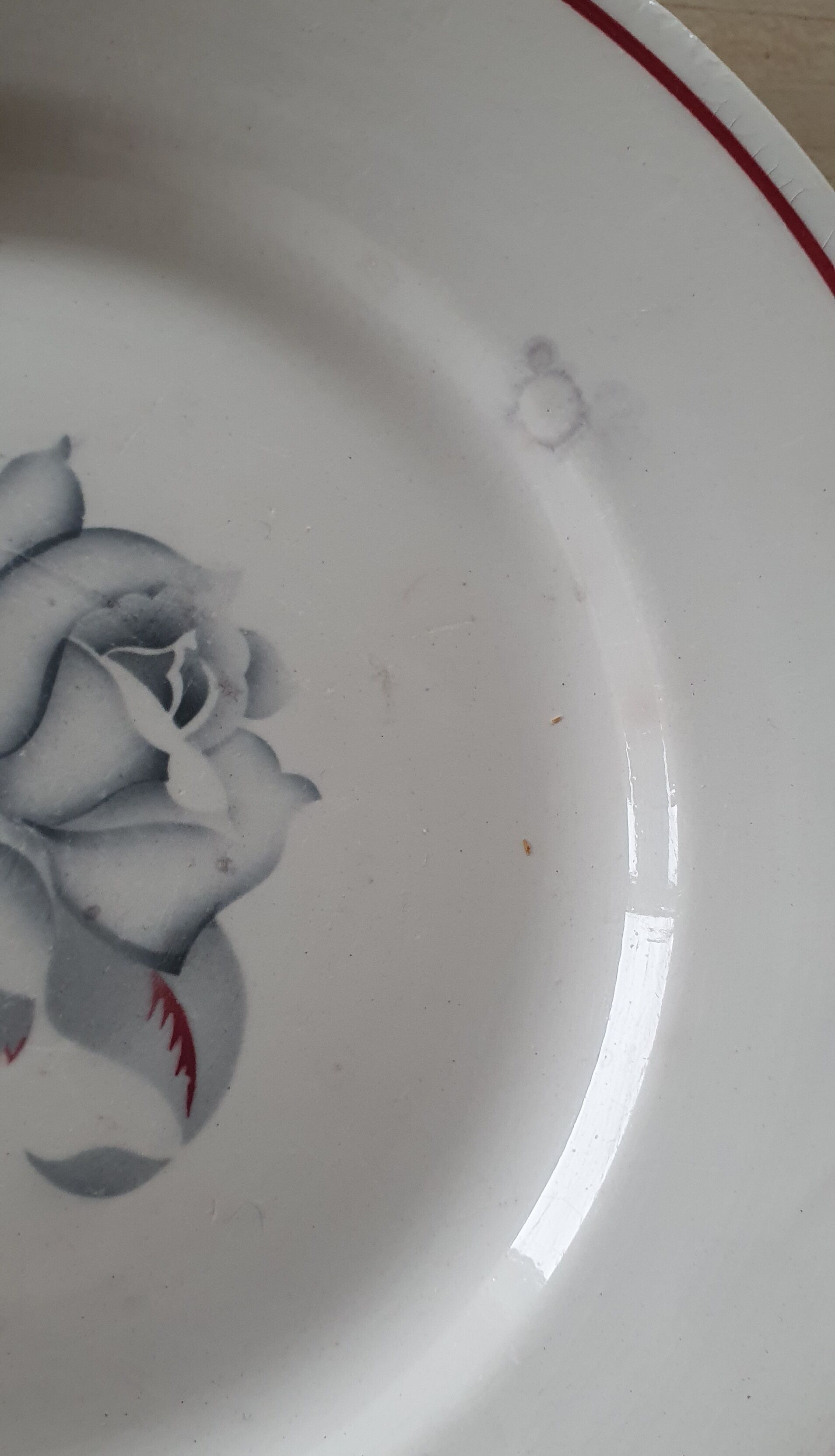 Earthenware plate