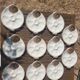 11 Longwy oyster plates with wells and a central compartment.