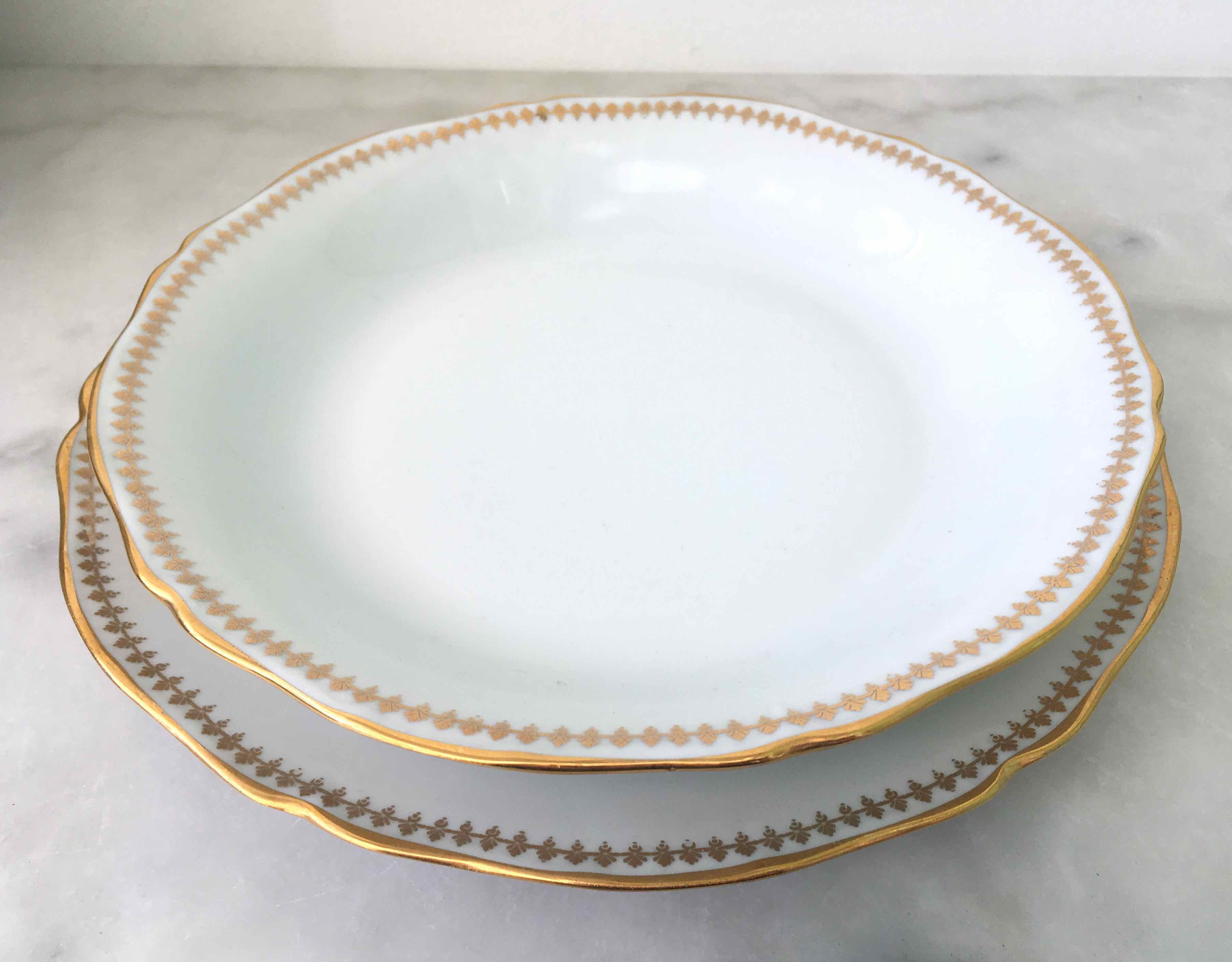 Plate service for 8 in Sologne porcelain