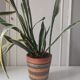 Fat Lava ceramic pot cover