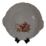 Plat Digoin Sareguemine