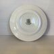 Old earthenware plate holly pattern