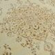 Tapis Vintage Beige Clair Motif Médaillon Floral Élégant, 354x458 Cm