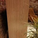 Vintage showcase 50s