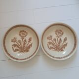Total soup plates