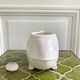 Planter fish hide pot slurry