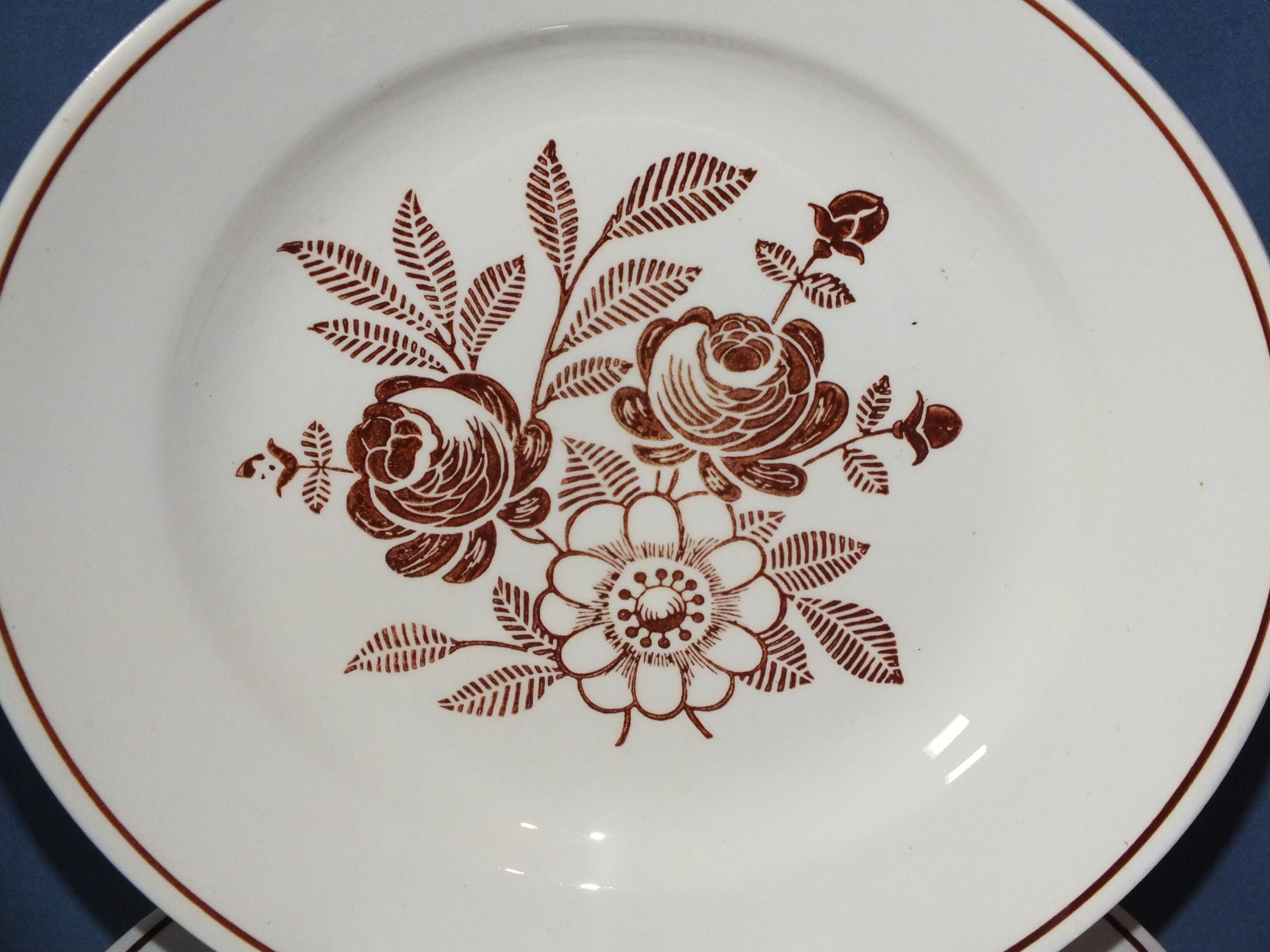 10 vintage flat plates - Brown Roses