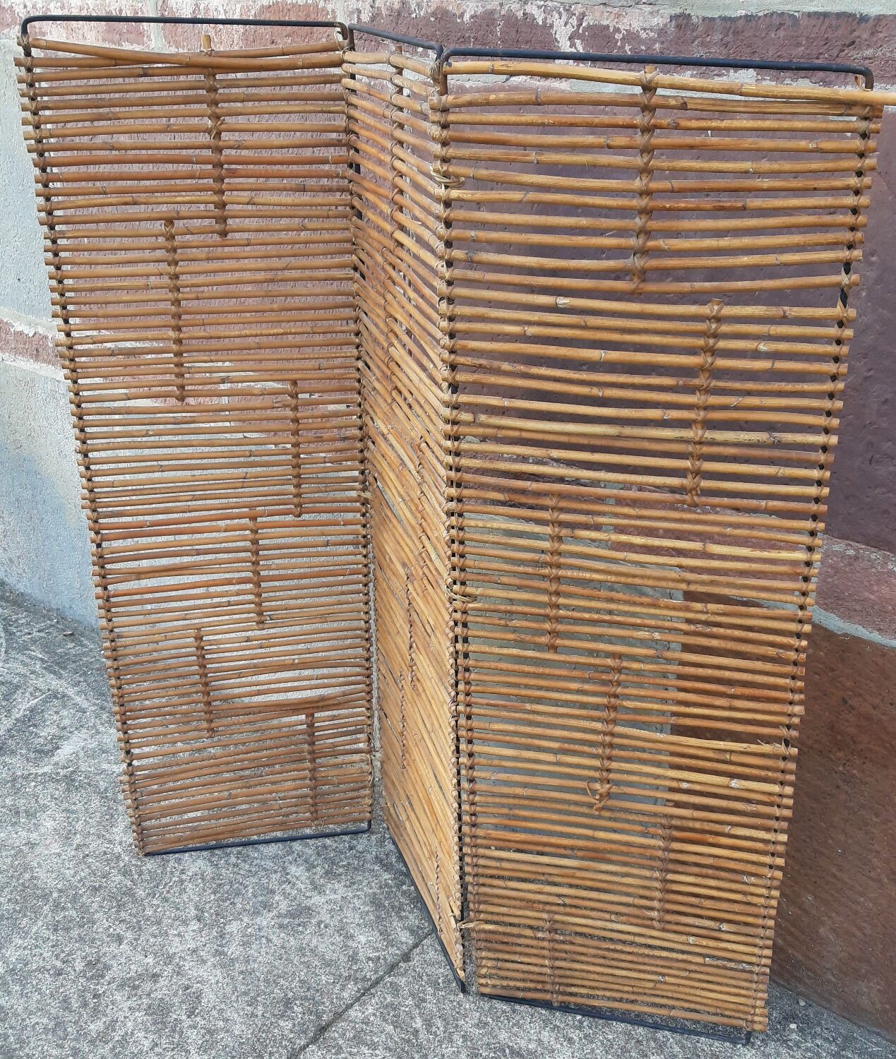 Bamboo screen year 60