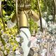 Magnificent Cascade Chandelier in Brass & Crystal Glass 1970s Vintage