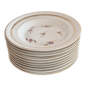 lot de 10 assiettes creuses
