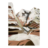 Little Snow Top Peaks
