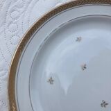 Set of golden Limoges plates