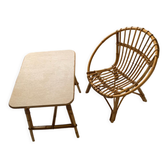 Shell chair and rattan table model children