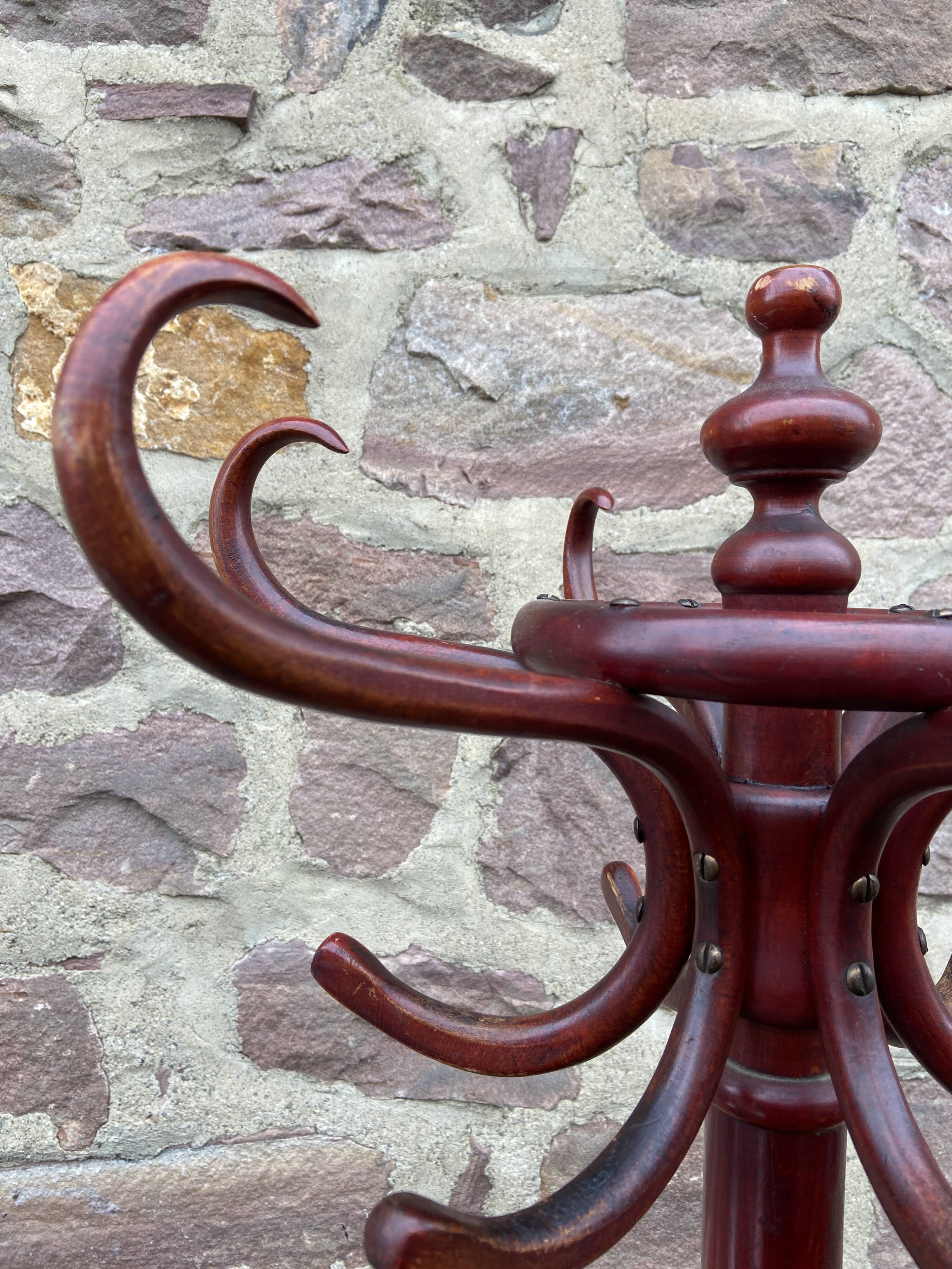 Fischel Parrot Coat Rack in Bentwood 1925-1930