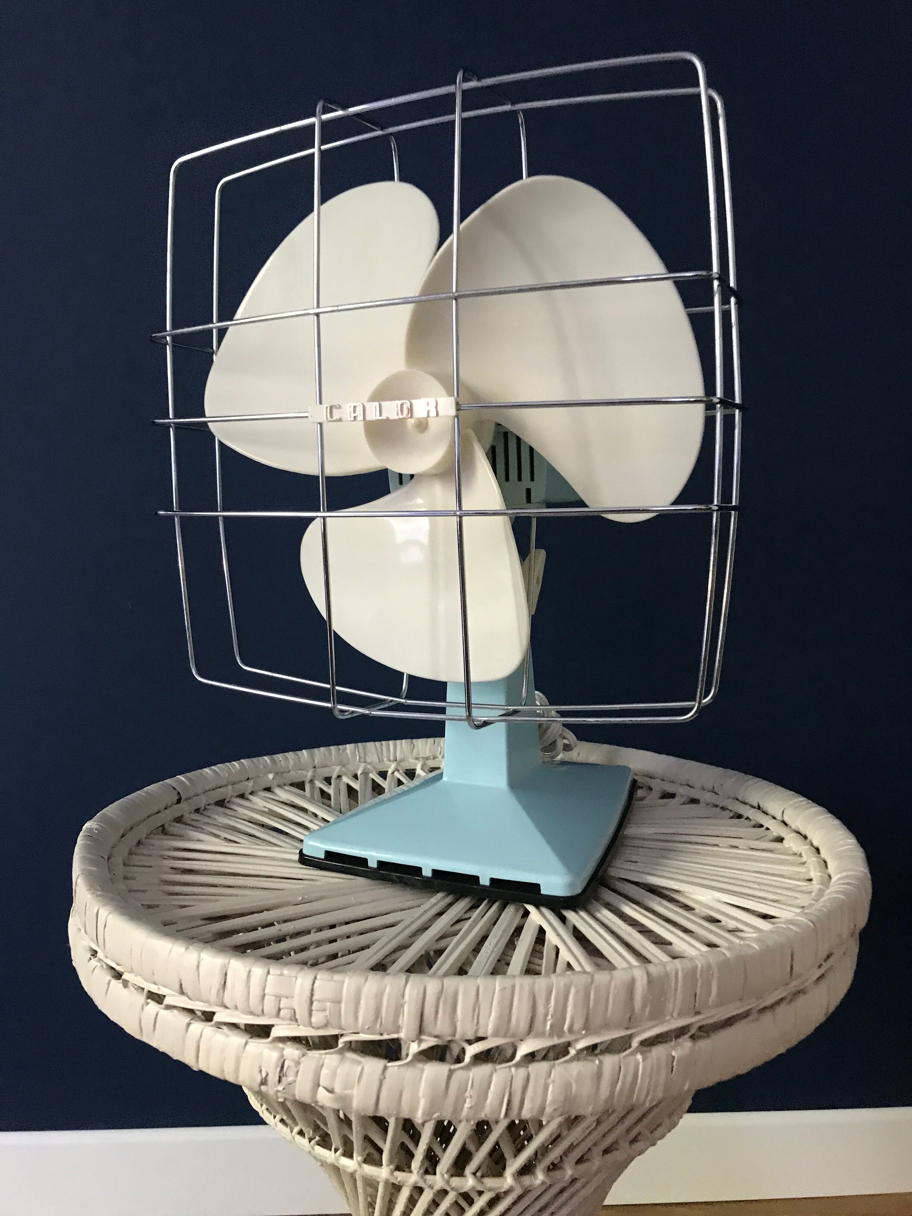 Vintage calor tilting fan mint