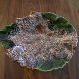 Plat feuille Valauris