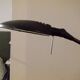 Lampe de bureau Aluminor
