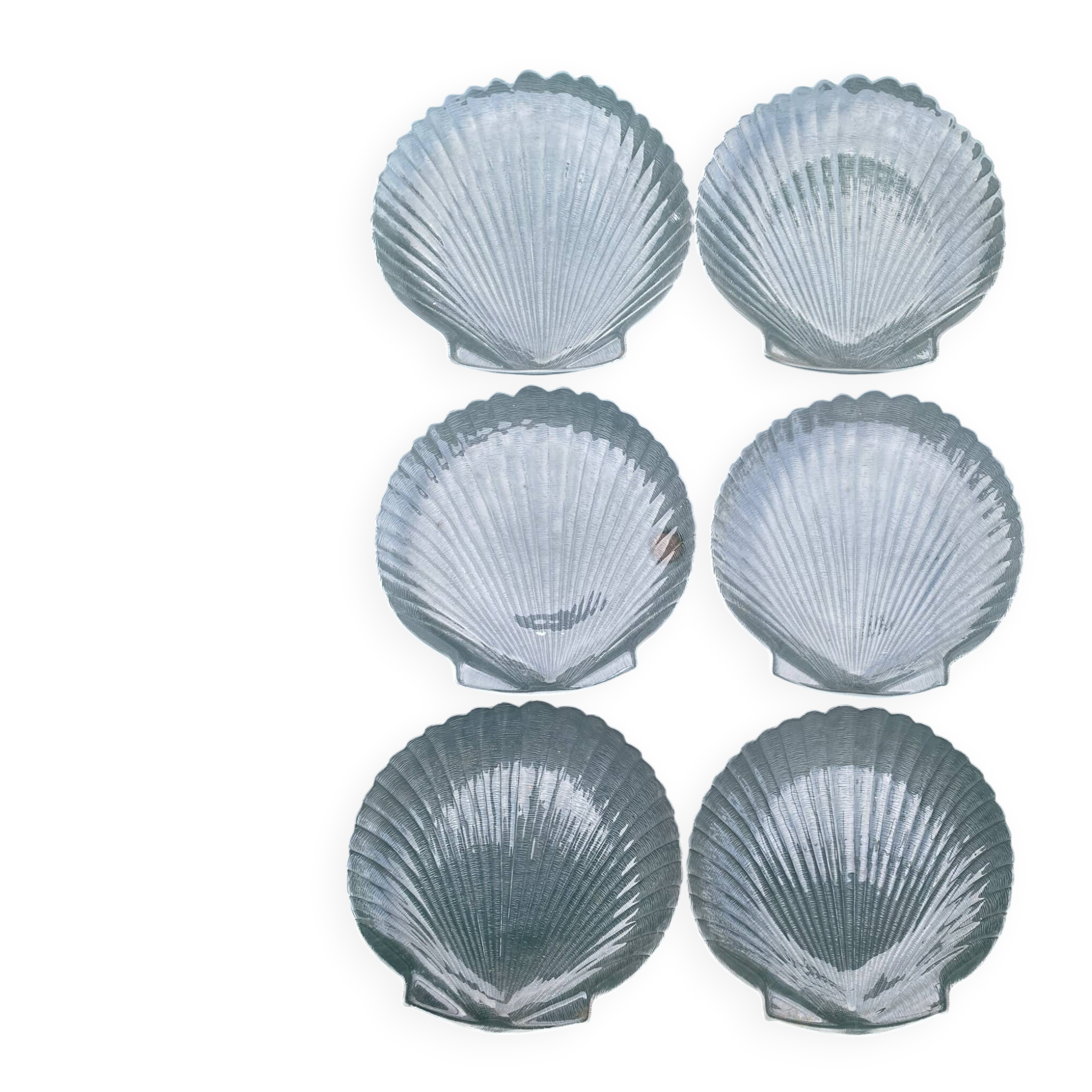 Grandes assiettes plates coquillage , Saint-Jacques 