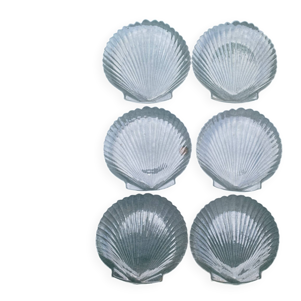 Grandes assiettes plates coquillage , Saint-Jacques