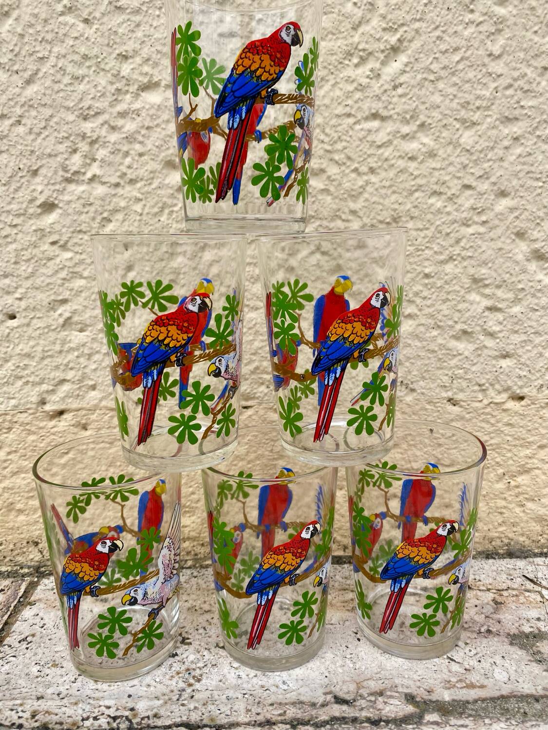 Six vintage parakeet glasses