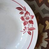 Six soup plates don't match in red and blue.