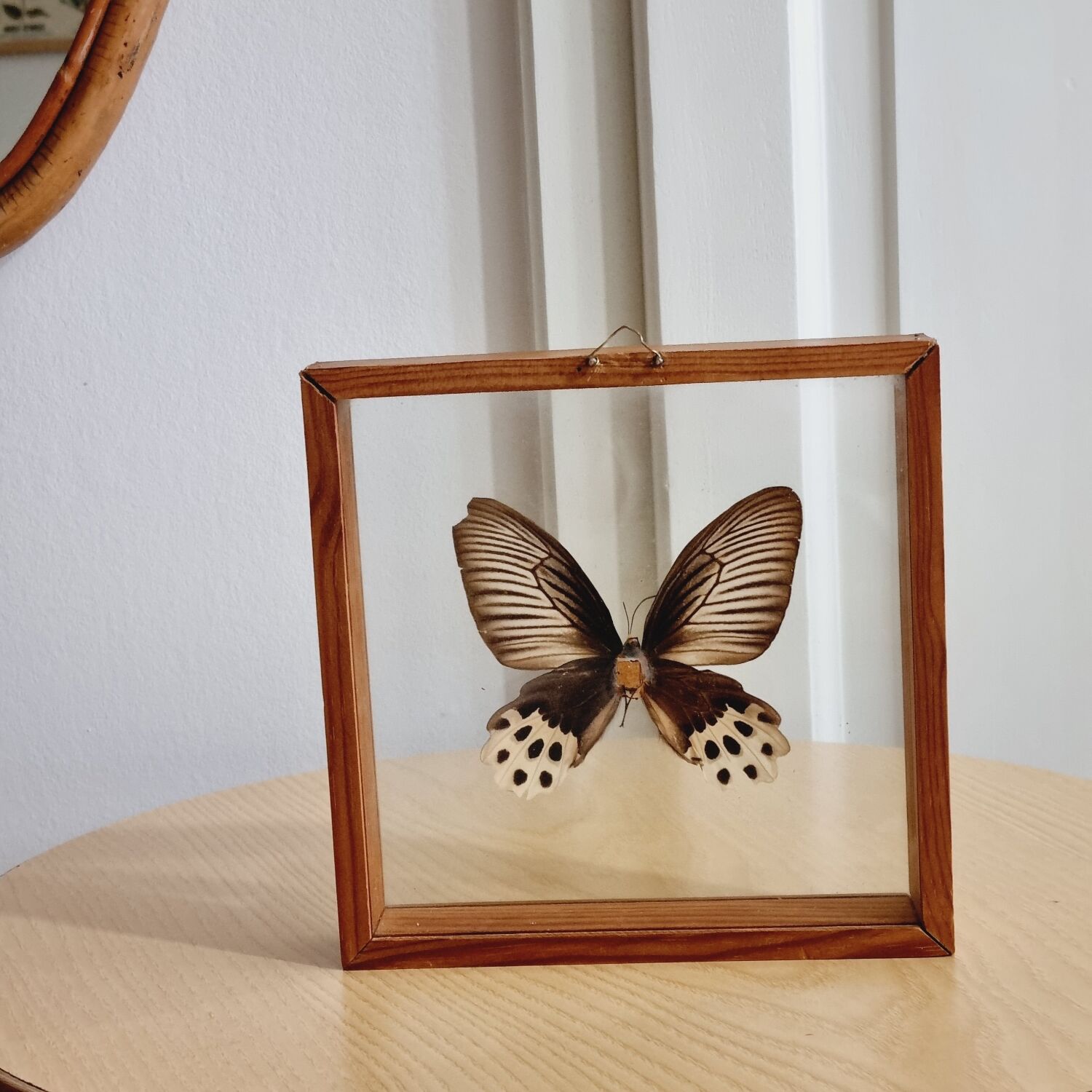 Cadre papillon marron