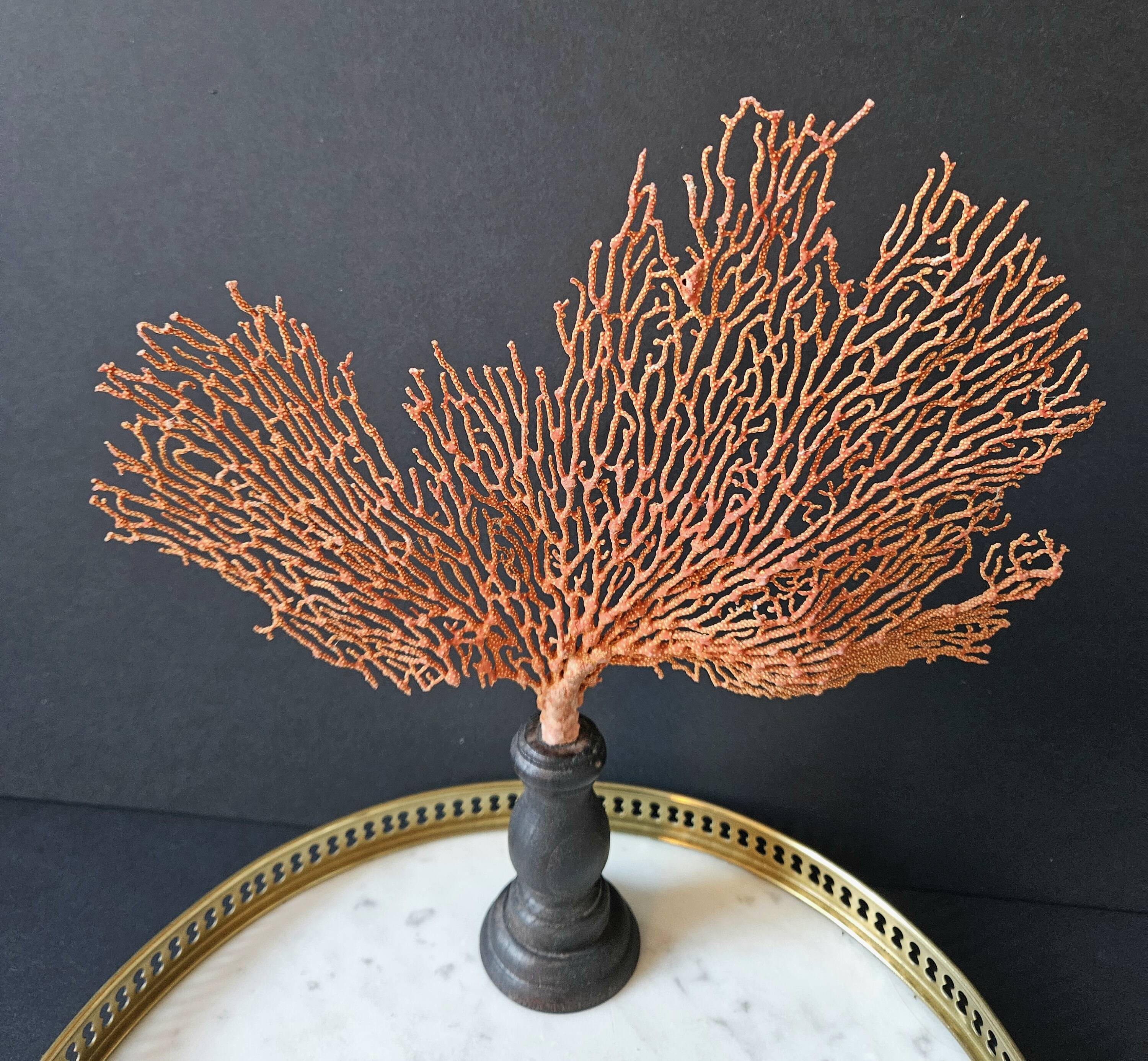 Red Gorgon Base in brown. H: 29 cm | Decorative Object & Curiosity