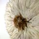 Juju hat white and Brown 50 cm