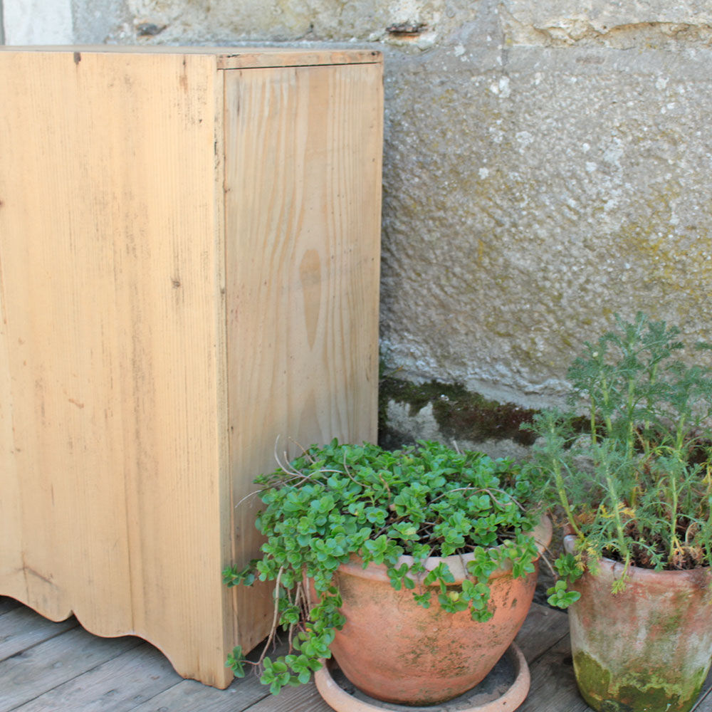 Rag-picker wood raw