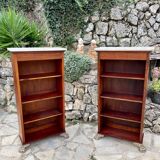Pair of empire style mahogany bibuses