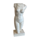 Buste en platre atelier du louvre
