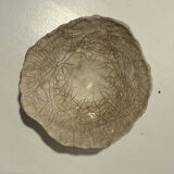 Raku cup