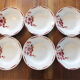 6 Hollow plates of the 40s decoration Flowers - Saint Amand Terre de Fer