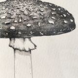 Illustration "amanite kills flies" limited series