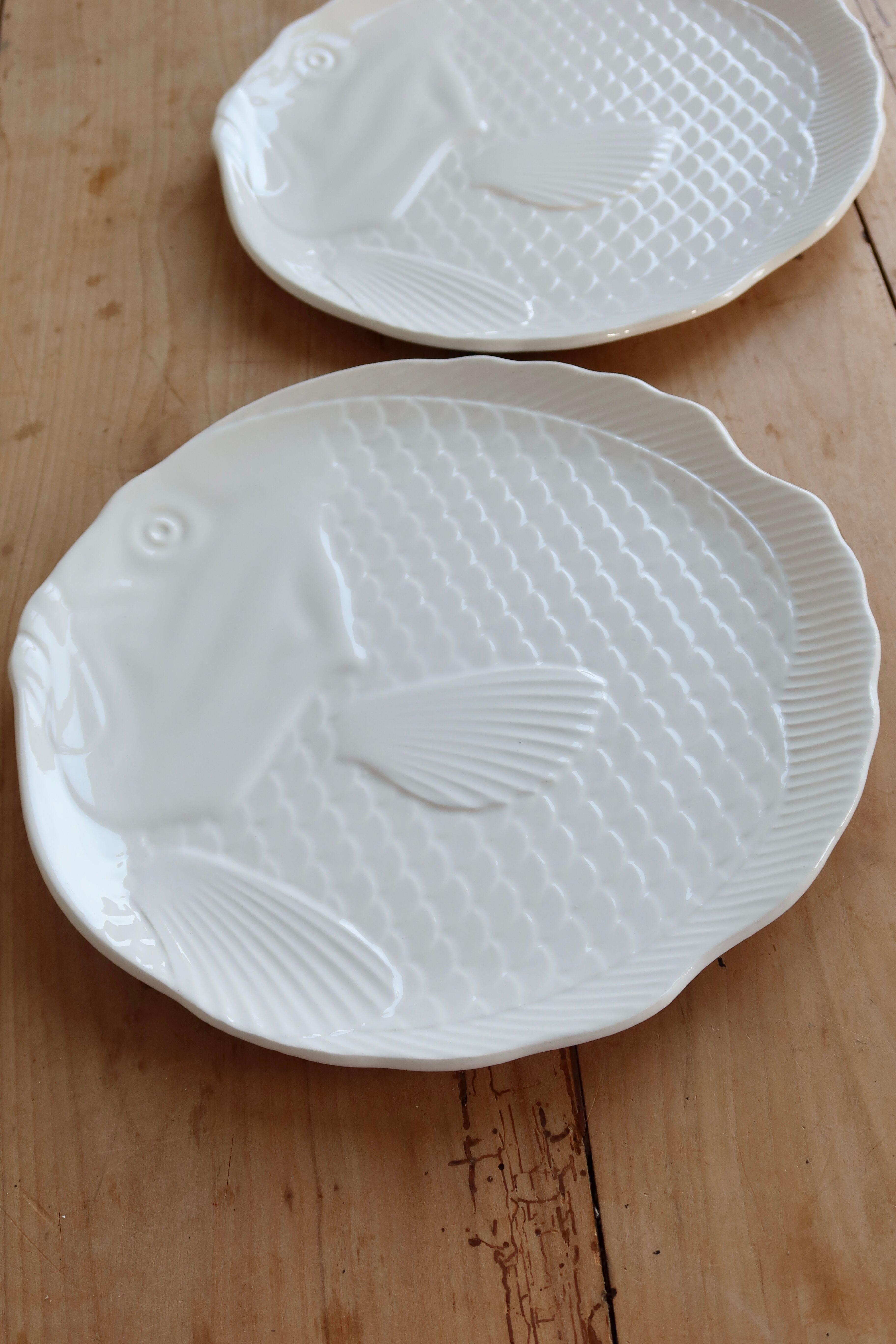 2 fish plates barbotine Salins white decor
