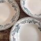 Set of 12 deep terre de fer plates