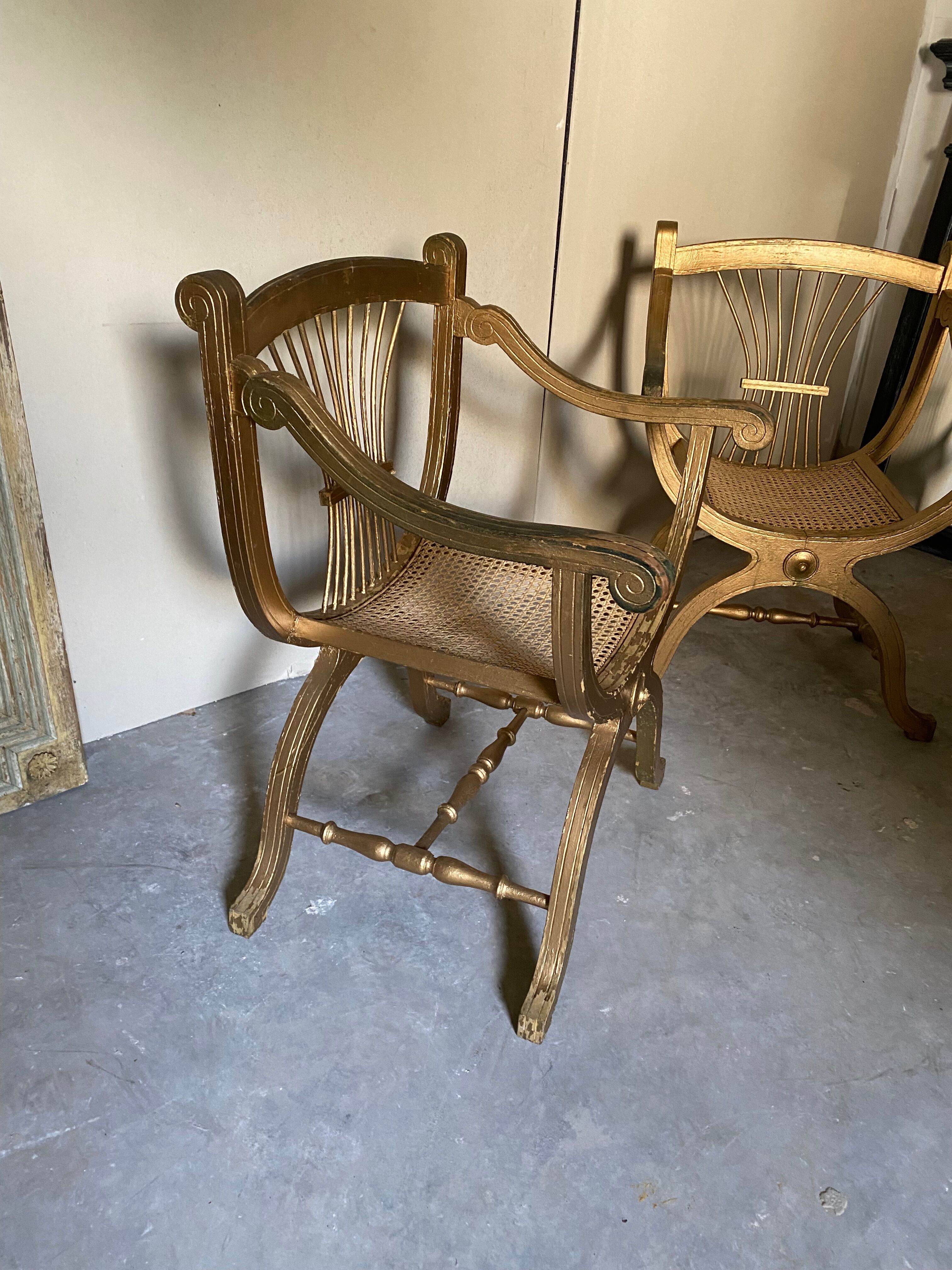 Pair of canework golden armchairs