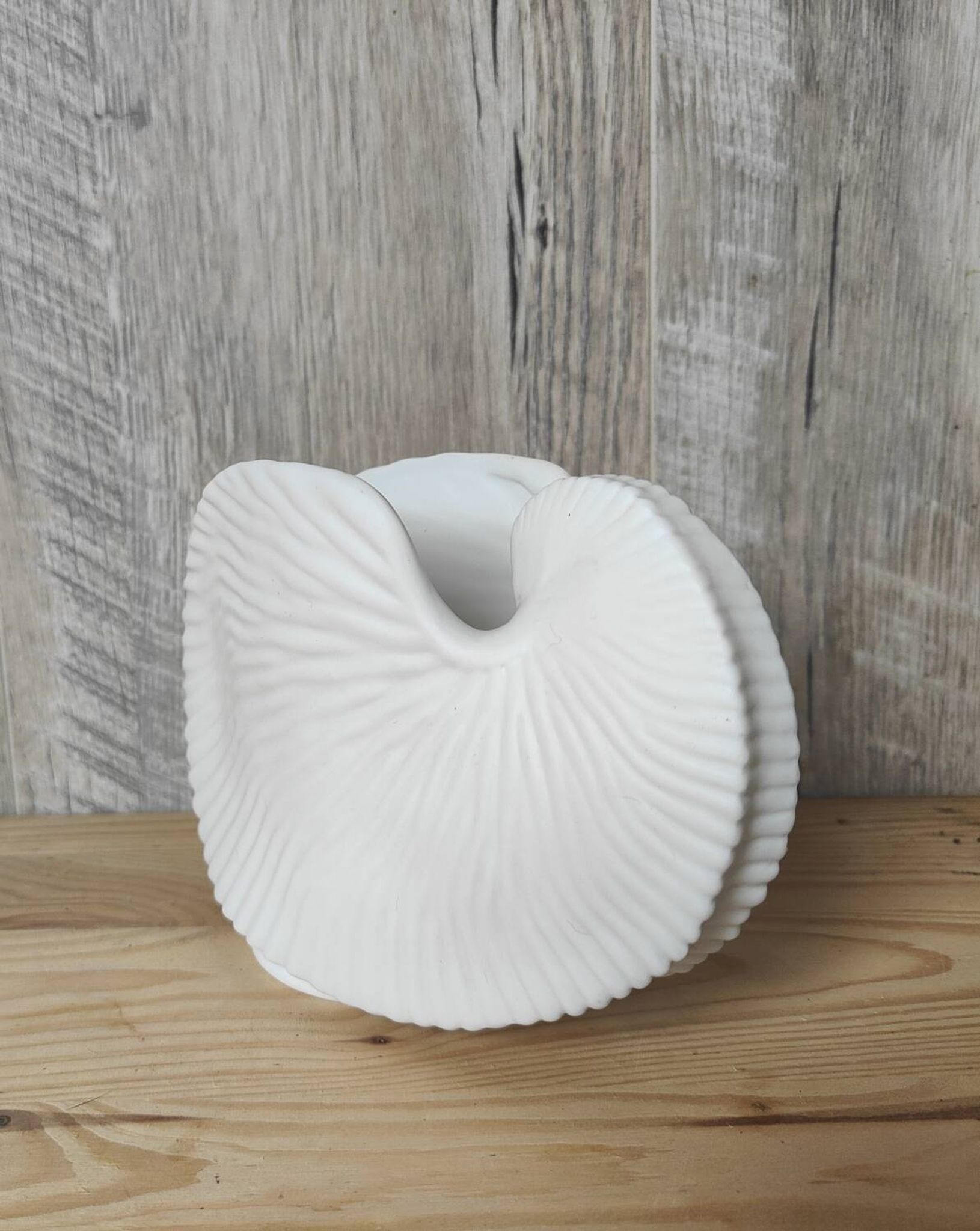 Shell tea light holder